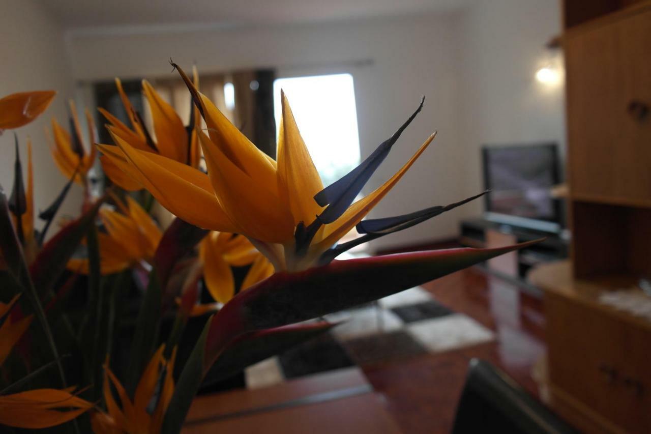 Inmaculado Apartment Funchal  Bagian luar foto